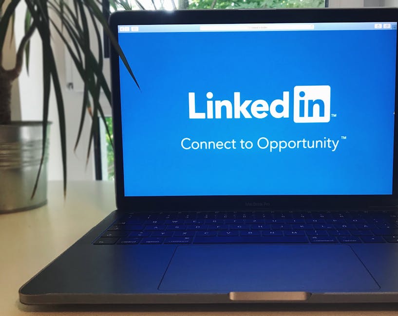 Video Ads on Social Media: Trends and Tactics