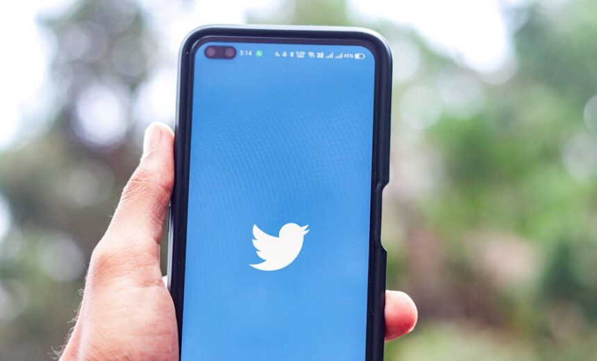 Overcoming Common Social Media Advertising Challenges