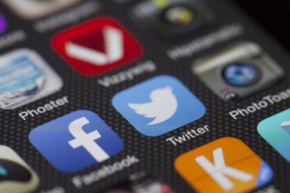 Scaling Your Twitter Ad Campaigns for Sustainable Growth