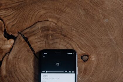 Win Big: YouTube Ad Bidding Strategies